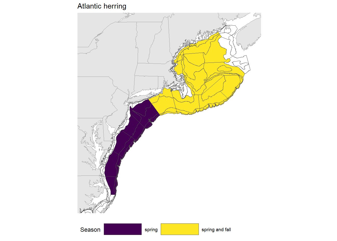 Strata map for the Atlantic herring (Clupea harengus) stock on the NE shelf.