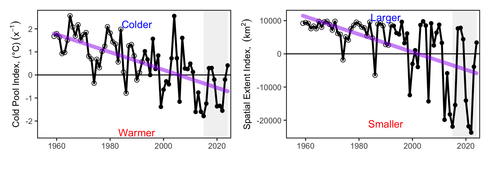 Seasonal cold pool mean temperature (left) and spatial extent index (right), based on bias-corrected ROMS-NWA (open circles) and GLORYS (closed circles), with declining trends (purple).