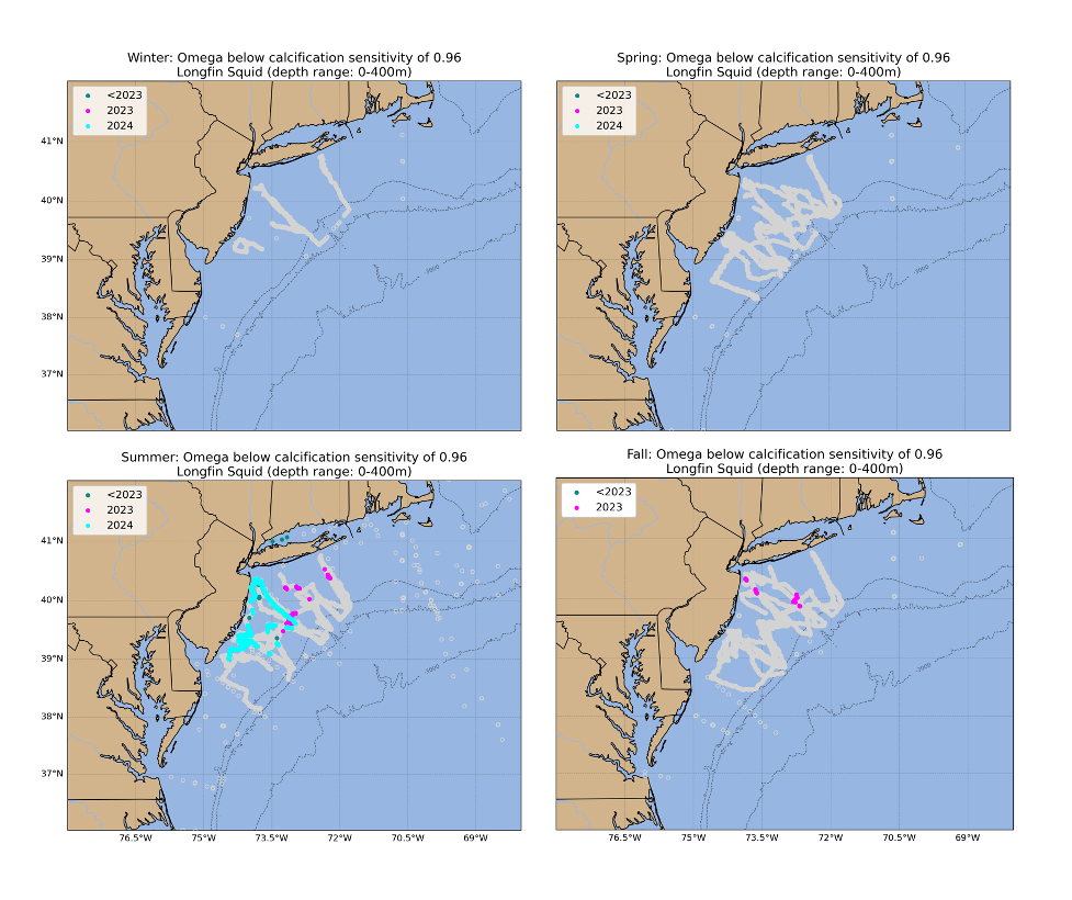 Locations where bottom aragonite saturation state (`\(\Omega_{Arag}\)`; summer only: June-August) were at or below the laboratory-derived sensitivity level for Atlantic sea scallop (left panel) and longfin squid (right panel) for the time periods 2007-2022 (dark cyan), 2023 only (magenta) and 2024 only (cyan). Gray circles indicate locations where bottom `\(\Omega_{Arag}\)` values were above the species specific sensitivity values..