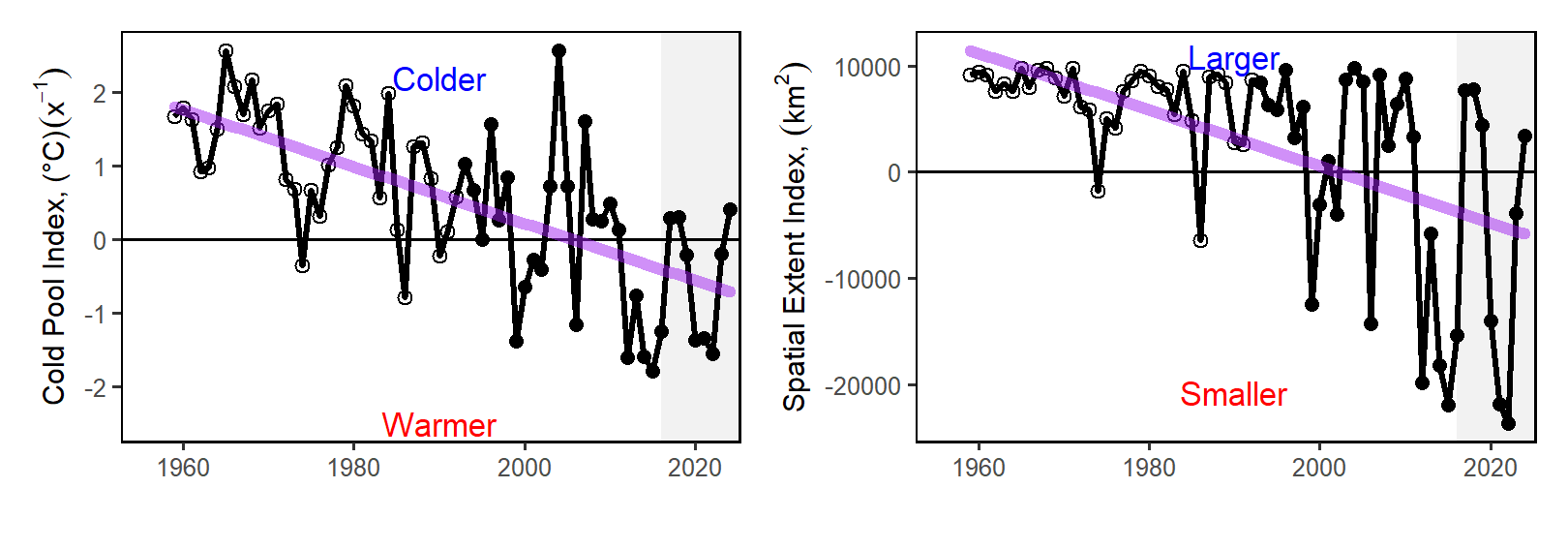 Seasonal cold pool mean temperature (left) and spatial extent index (right), based on bias-corrected ROMS-NWA (open circles) and GLORYS (closed circles), with declining trends (purple).